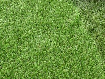 Supreme French STRIPE Artificial Grass  £14.49Psqm 1030-779