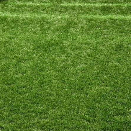 Luxurious Russian Artificial Grass  £17.49Psqm 1030-784