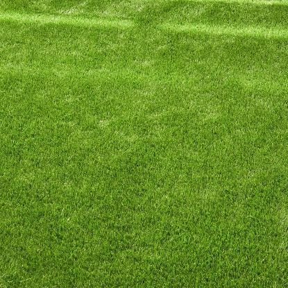 Supreme British Artificial Grass  £24.99Psqm 1030-797